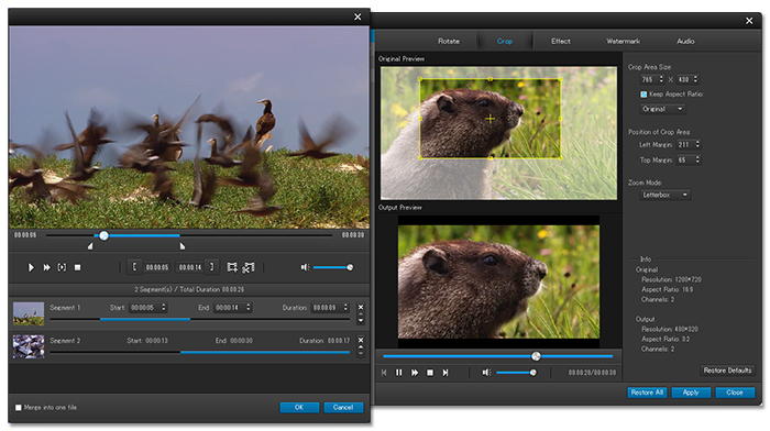 動画変換画面の例
