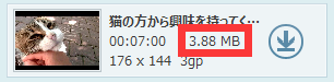 動画ダウンロード ビデオファイルサイズ
