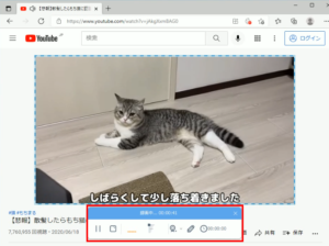 もちまる 動画 画面録画